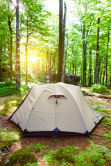 Tent in the deciduous forest.