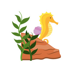 cute seahorse isolated icon vector illustration design