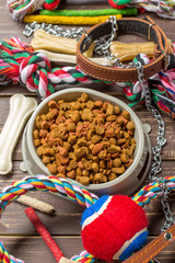 Pet accessories, food, toy. Top view