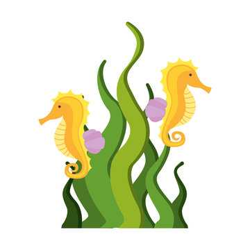 Seahorse Cartoon Images – Browse 16,736 Stock Photos, Vectors, and Video |  Adobe Stock