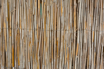 wood background