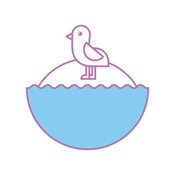 cute bird sea icon vector illustration design