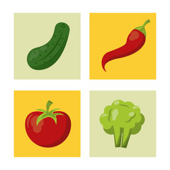 white background with colorful squares with cucumber and chilli and tomato and broccoli vector illustration