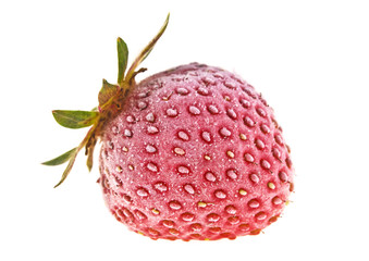 Frozen strawberry on a white background