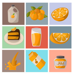 Ripe orange products fruits citrus slices sweet food realistic organic vector illustration.