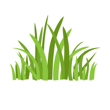 Eco green grass