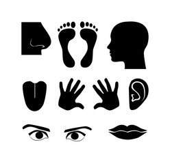 Human icon set