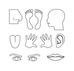Human icon set