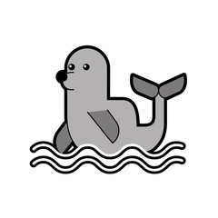 cute seal isolated icon vector illustration design