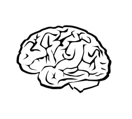 Human brain icon vector