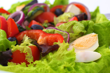 salad from fresh vegetables in a plate on a table, selective focus