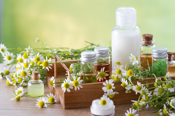 Fototapeta na wymiar Body care cosmetic products with camomile and camomile flowers