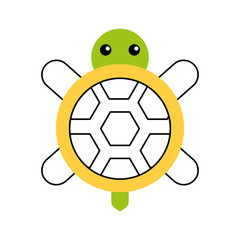 cute turtle isolated icon vector illustration design