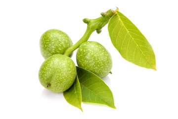 young green walnut