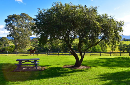 Picnic Area with Horse