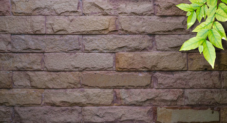 Background of  bricks decorated on floor by green leaves
