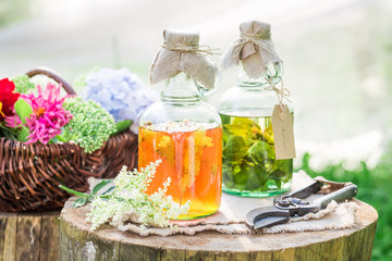 Healing herbs in bottles as natural medicine in summer