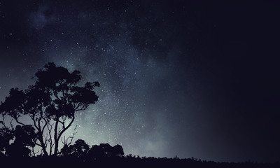 Night natural view
