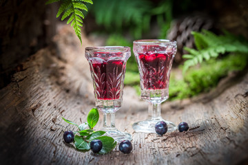 Lliqueur made of alcohol and blueberries in summer