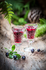 Tasty liqueur made of alcohol and blueberries in forest