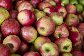Apples