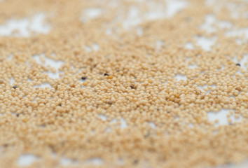 Fototapeta na wymiar Pile of raw millet seeds