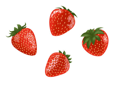 Strawberry Illustration On a white background is a set of 4 images.