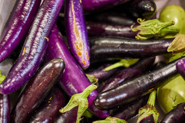 Eggplant