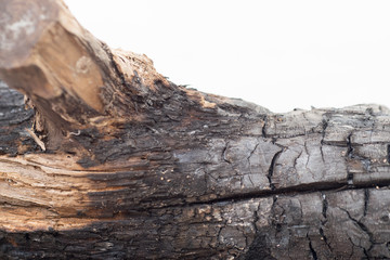 Burnt wood texture