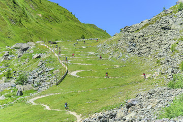 eine Gruppe Mountainbiker befährt eine Downhill-Route