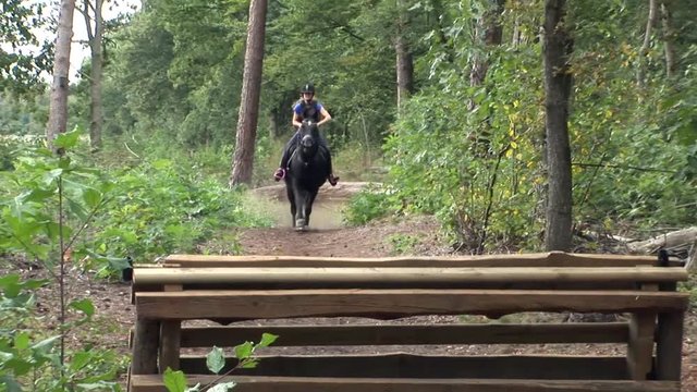 cross country horse jumping teenagers girls 15