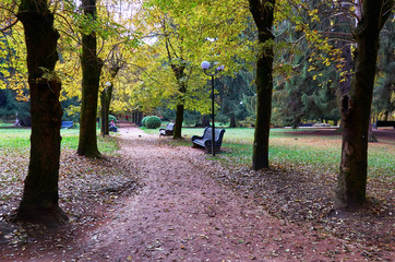 Russia. Stavropol region. Kislovodsk. The resort park in Kislovodsk.