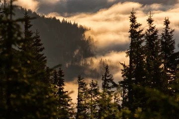 Papier Peint photo autocollant Forêt dans le brouillard Beau lever de soleil sur les montagnes avec des nuages d& 39 orage en arrière-plan. Masivul Ceahlau, Roumanie.