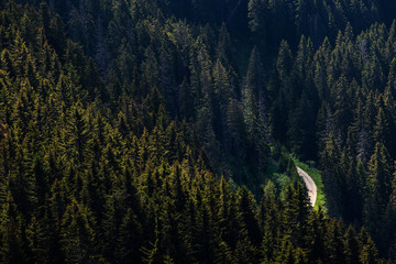 Fototapety na wymiar - Fototapeta24.pl