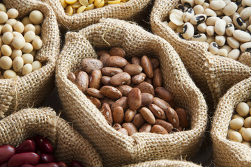 Farm concept, various legumes seed in bag