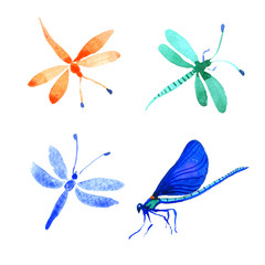 Insect dragonfly set in a watercolor style isolated.