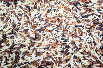 Jasmine rice, Brown rice, Black rice, Mixed rice and Riceberry, isolated on a white background