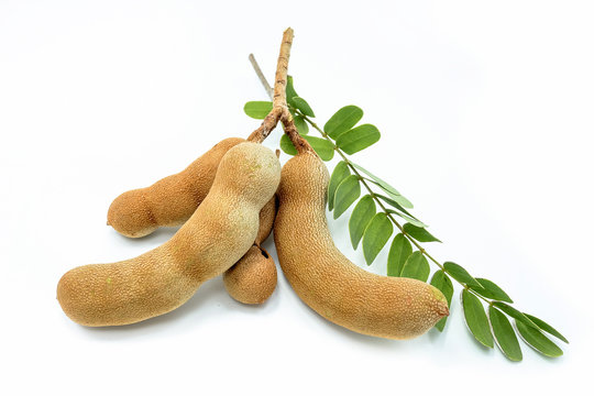 Tamarind, isolated on a white background