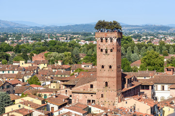 view of Lucca and the Torre Guinigi (Guinigi Tower), tuscany, italy - 161939457