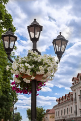 Fototapeta na wymiar Street lamp with flowers