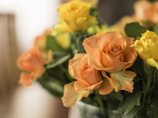 Orange and yellow roses