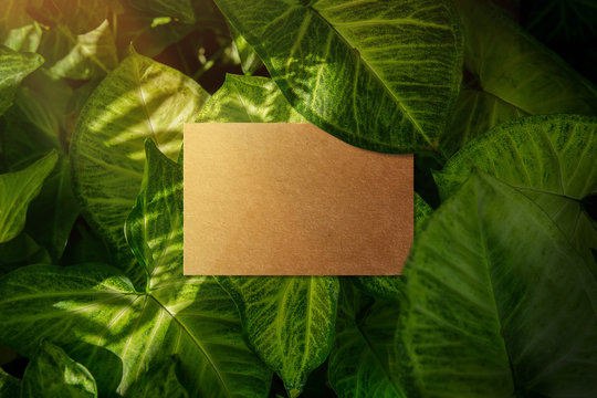 Business Card Mockup, Craft Recycle Paper, Top View, Blank Space For Logo Identity Or Text Copy, Tropical Nature Leaf Layer As Background