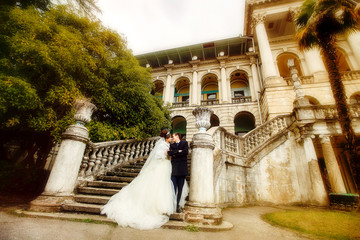 Newlyweds on the stairs of the mansion