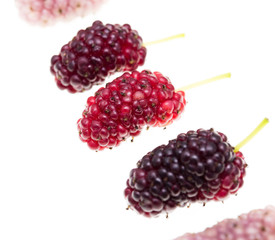 Mulberry berry on a white background