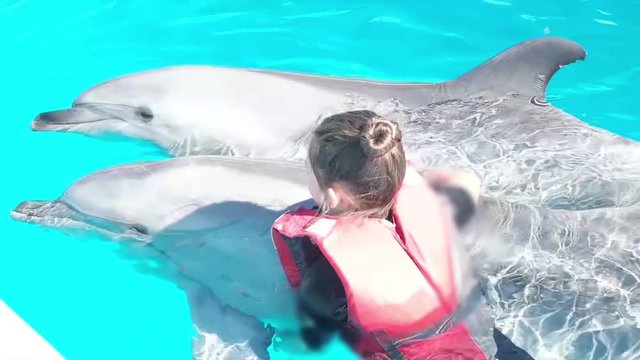 Teen girl swims with dolphins