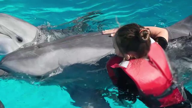 Girl swims with dolphins