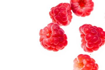 Juicy red raspberries on white background © schankz