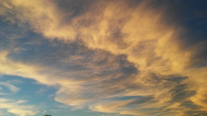 Golden Waves