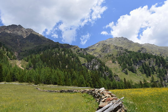 Fototapeta Holzzaun, Steinzaun, Mauer, Pfannspitze, Plattetörl, Steinmauer, Wetter, Berg, Tal, Osttirol, Lienz, Villgraten, Stallertal