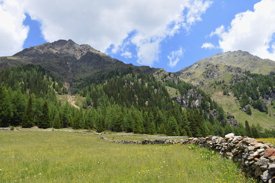 Fototapeta Holzzaun, Steinzaun, Mauer, Pfannspitze, Plattetörl, Steinmauer, Wetter, Berg, Tal, Osttirol, Lienz, Villgraten, Stallertal